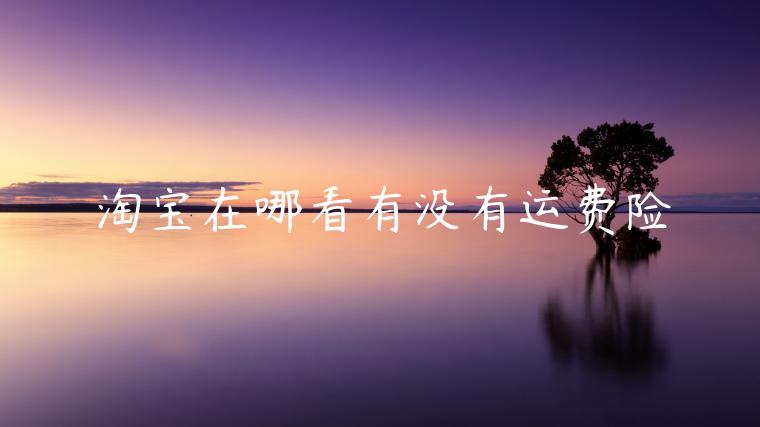 淘寶在哪看有沒(méi)有運(yùn)費(fèi)險(xiǎn)